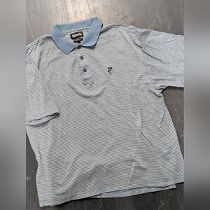 Ashworth Blue Striped Polo Shirt
